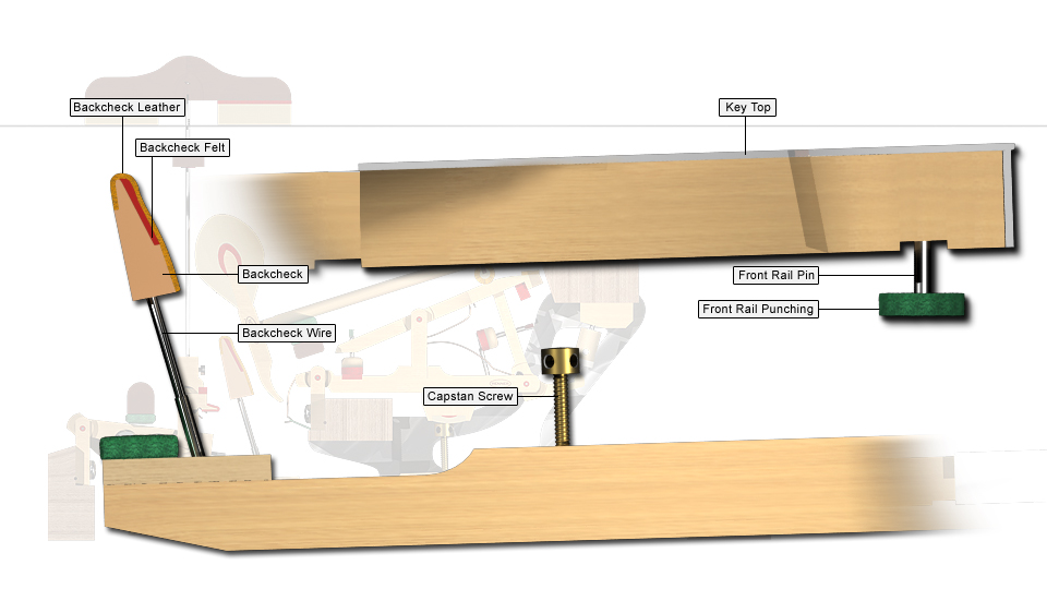 Piano Action Guide - Keys